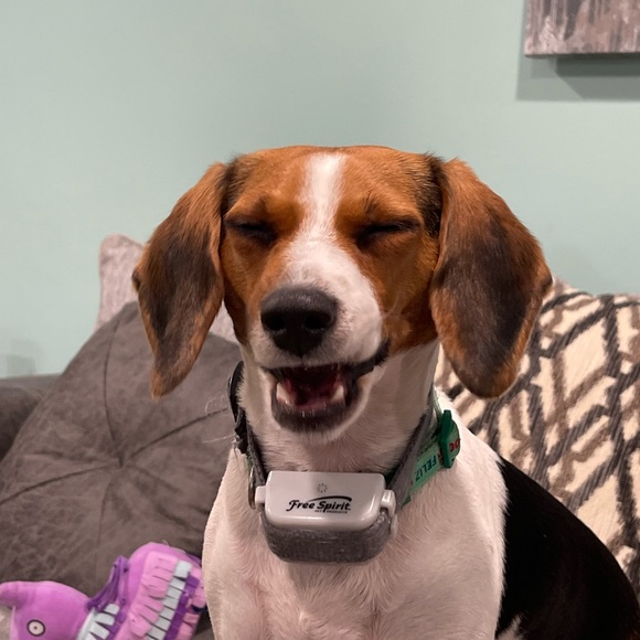 Meet your Posher, Rebecca - Picture 3 of 7